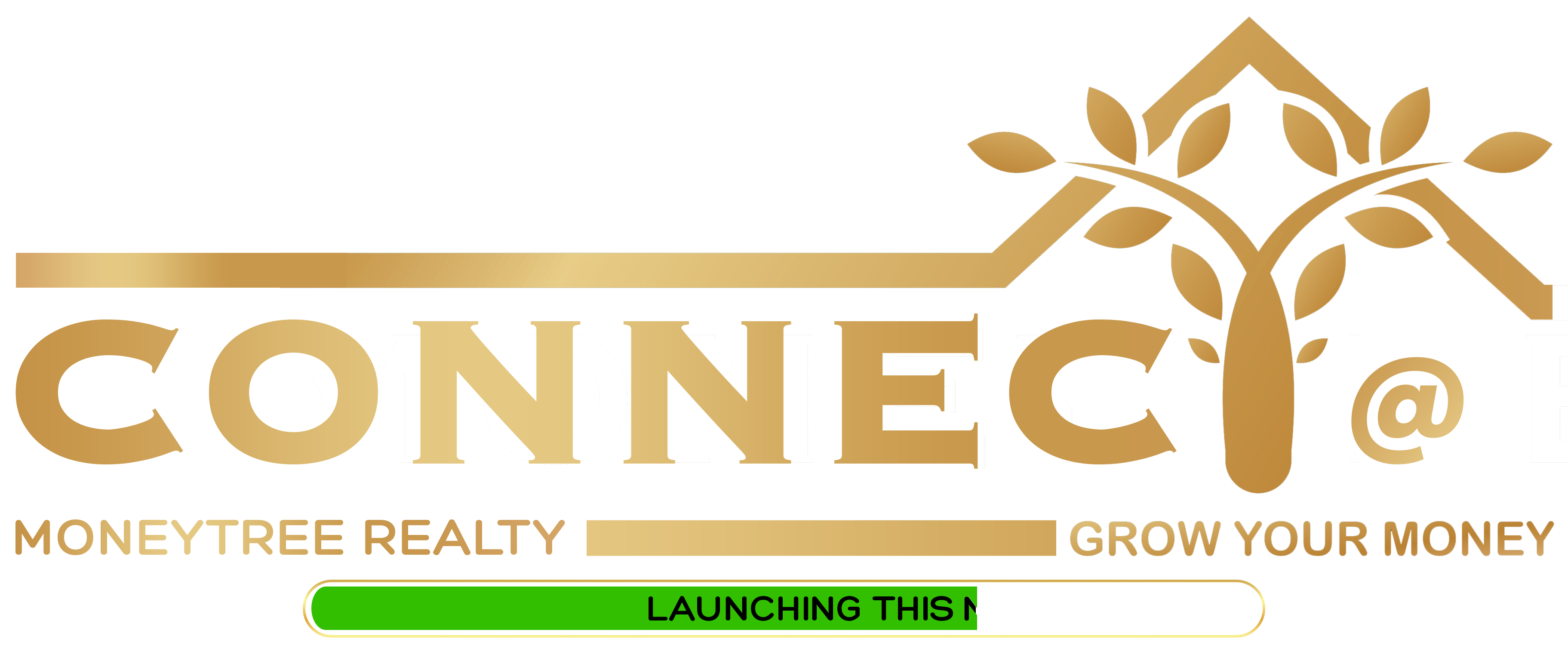 Moneytree Connect Logo 